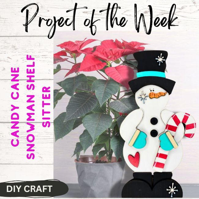 Candy Can Snowman Shelf Sitter  Craft Kit