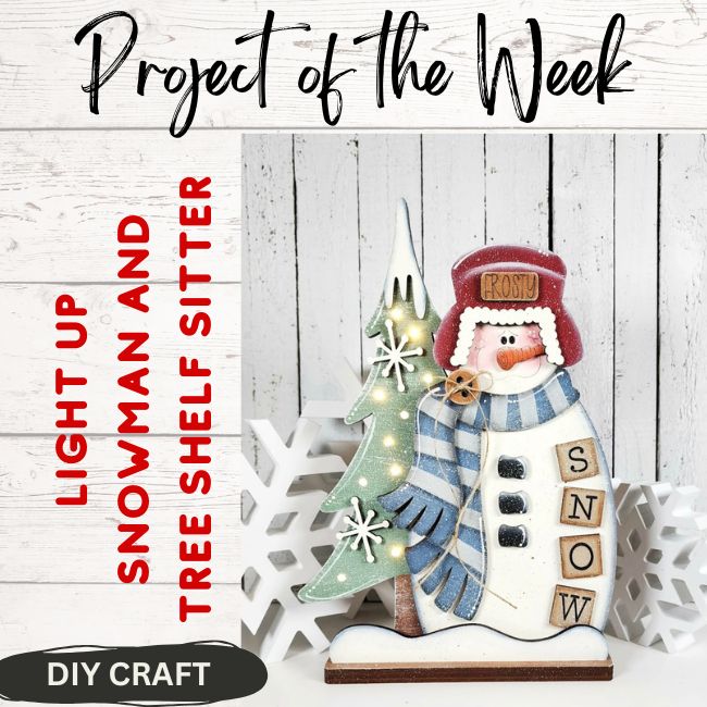 Lightup Snowman Shelf Sitter Craft Kit